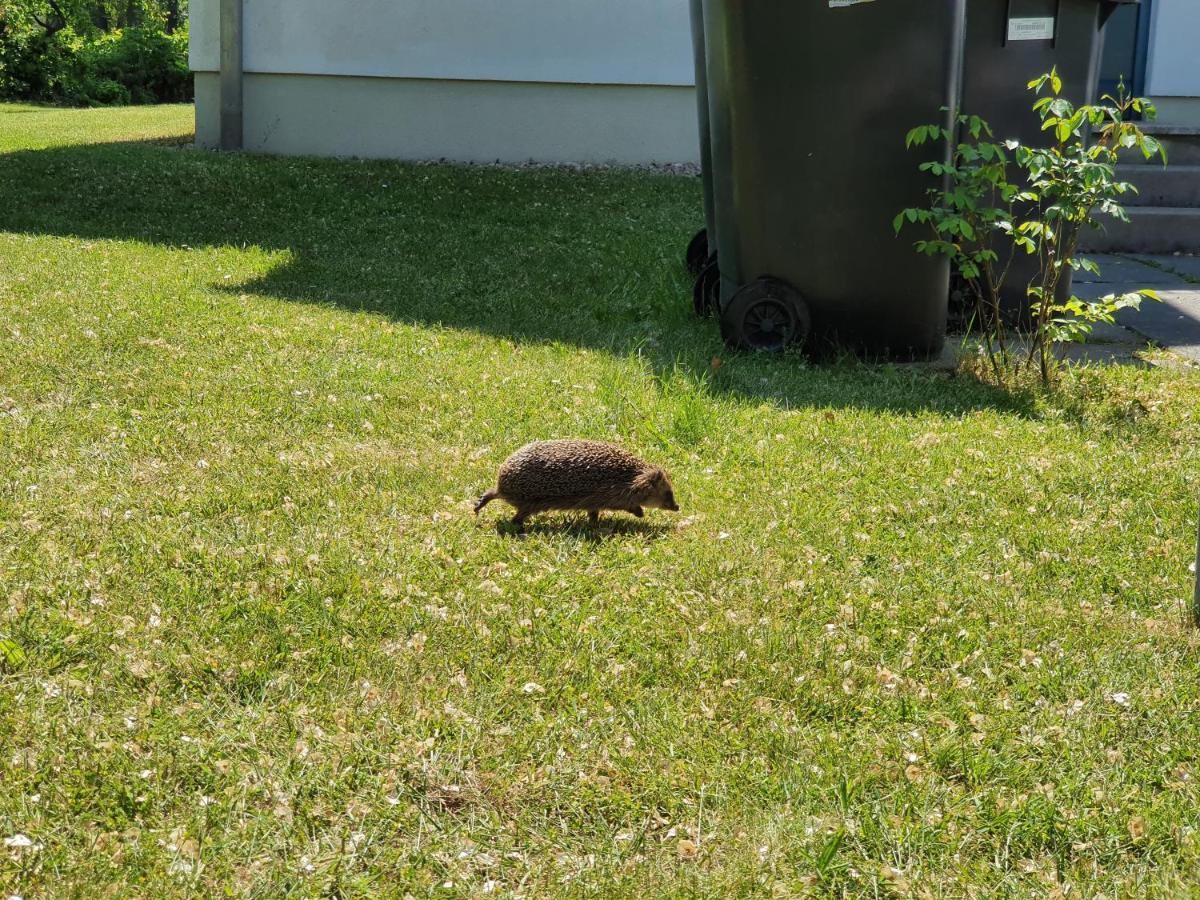 Holiday home Igel *